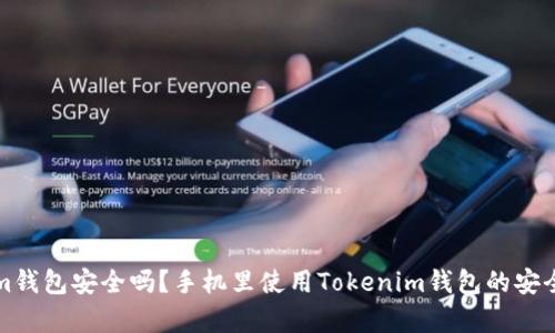 Tokenim钱包安全吗？手机里使用Tokenim钱包的安全性分析