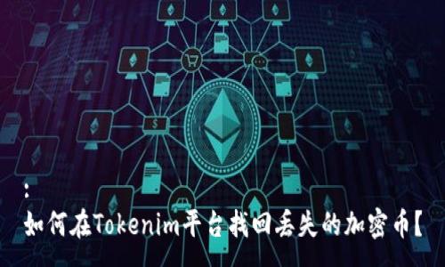 :
如何在Tokenim平台找回丢失的加密币？