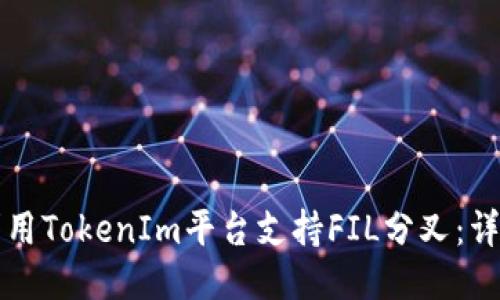 如何利用TokenIm平台支持FIL分叉:详细指南