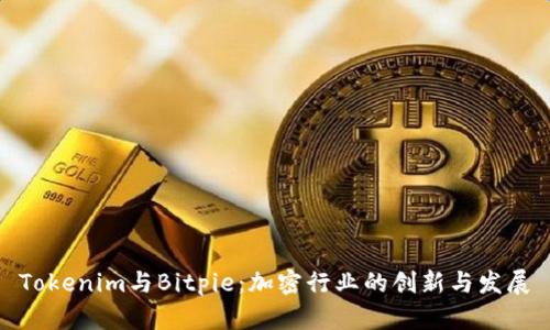Tokenim与Bitpie：加密行业的创新与发展