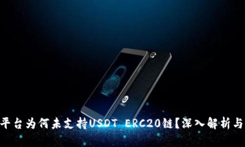 Tokenim平台为何未支持USDT ERC20链？深入解析与解决方案